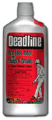 deadline.jpg